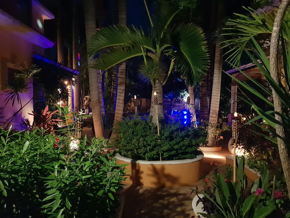 Gardens with Night lights