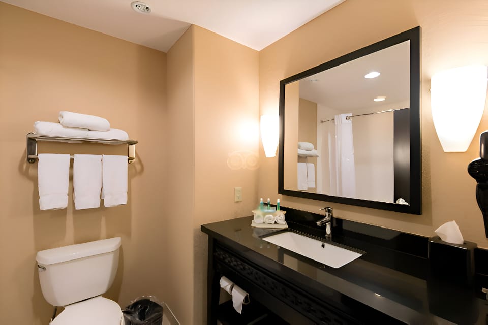Combined shower/tub, hydromassage showerhead, hair dryer, towels