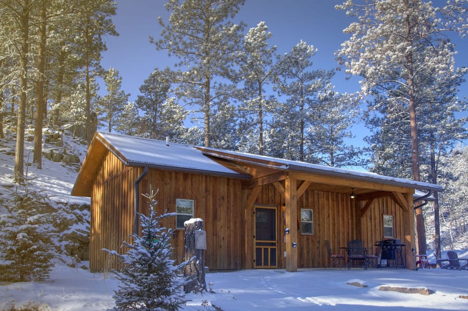5875A20Cabin20420snow