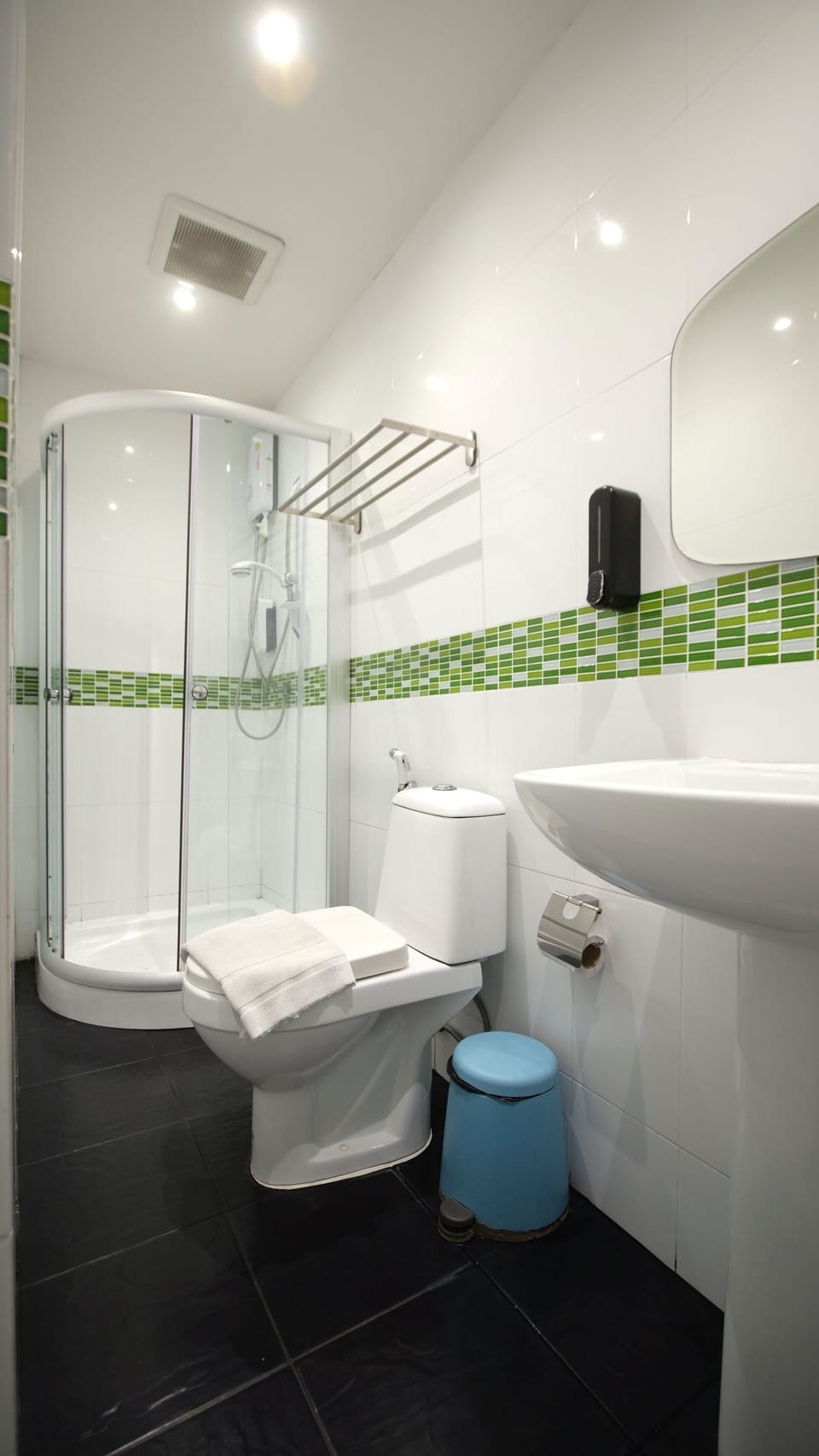 Shower, free toiletries, hair dryer, bidet