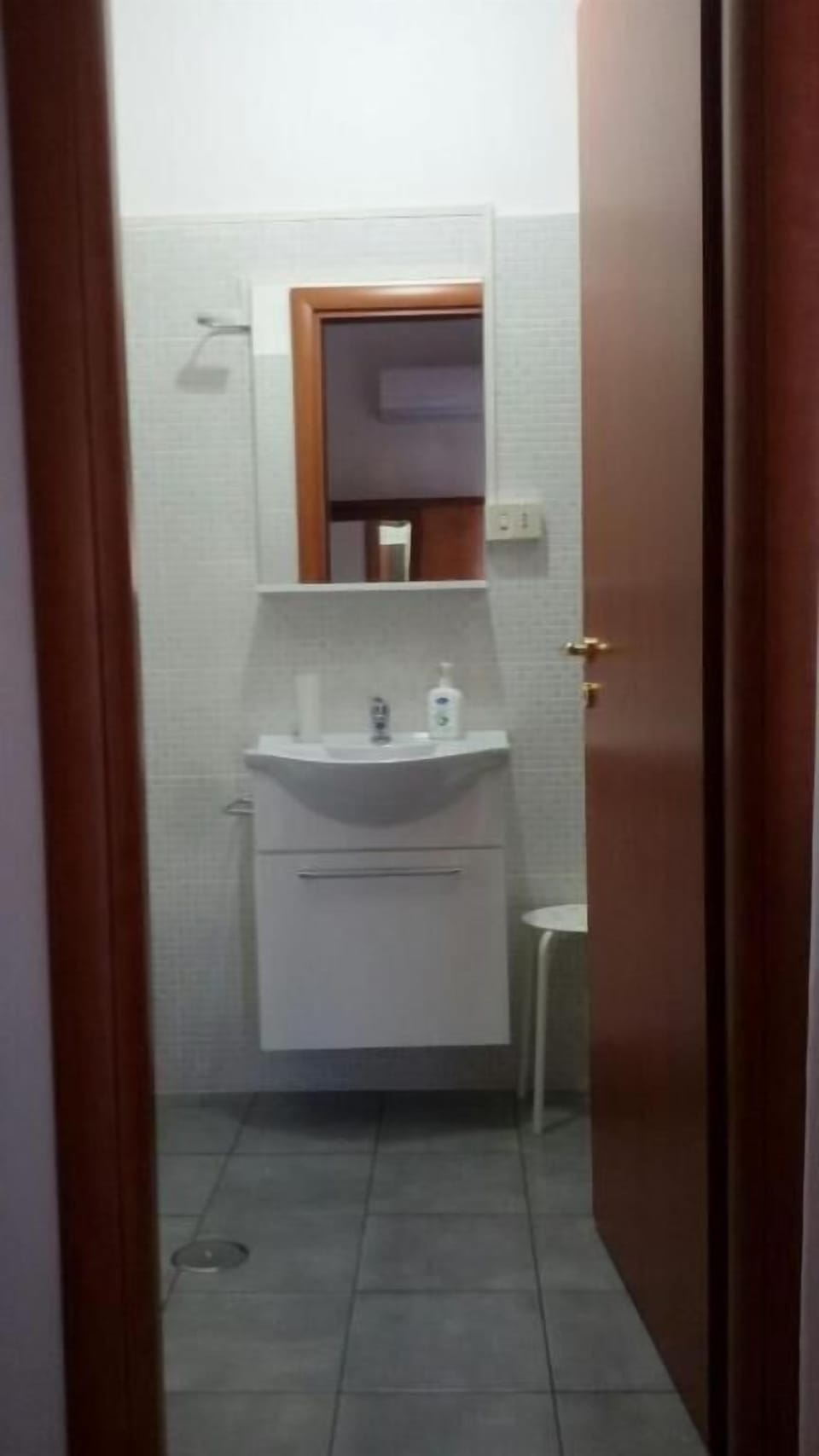 Shower, hair dryer, bidet