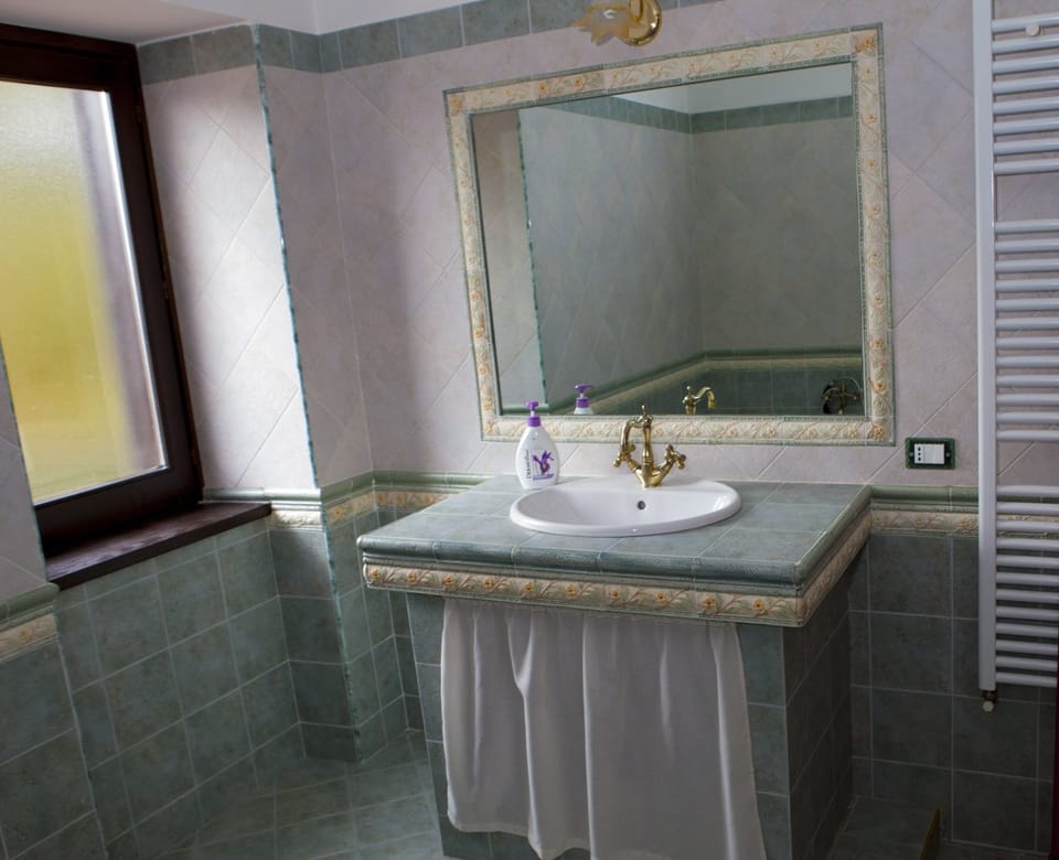 Shower, hair dryer, bidet