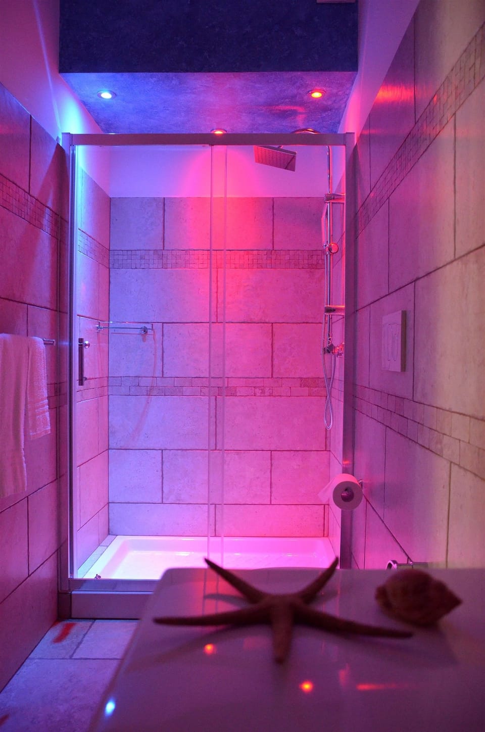 Double Room | Bathroom shower