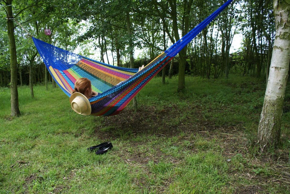 "Maisie loved the hammock and the woods."