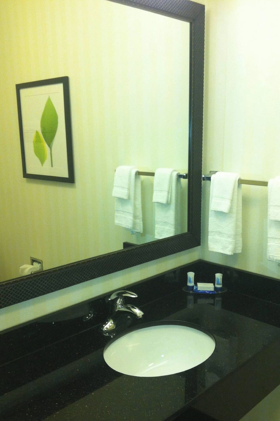 Combined shower/tub, free toiletries, hair dryer, towels