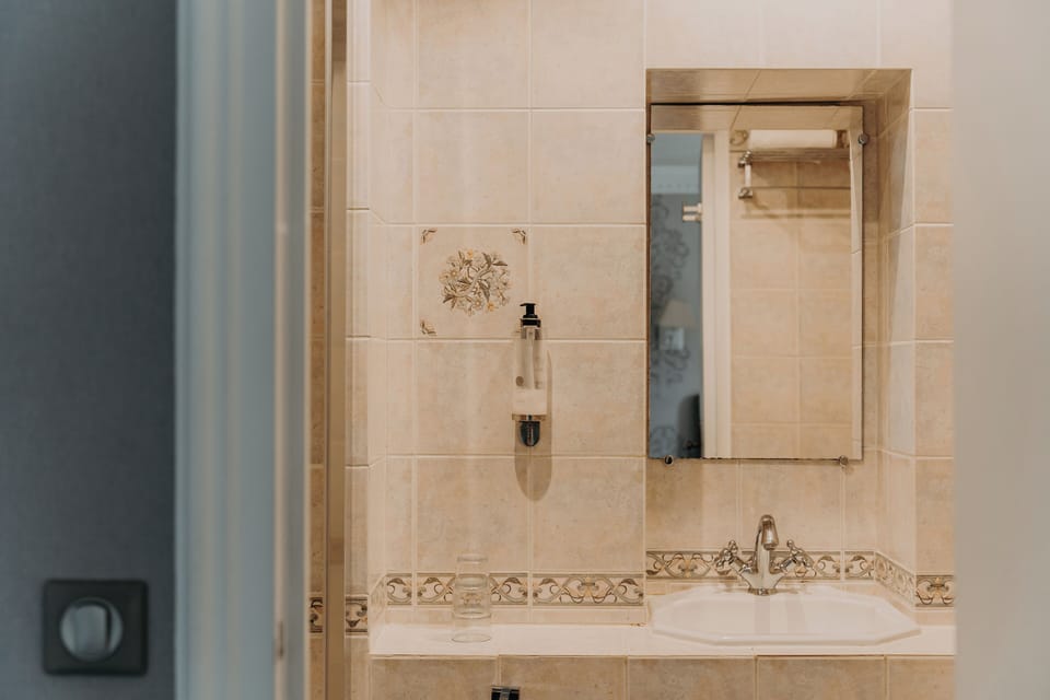 Small Double Room (shower) | Bathroom | Eco-friendly toiletries, hair dryer, towels, soap