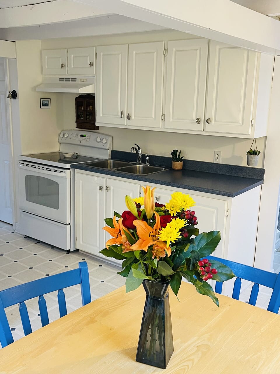 Large, bright, full size kitchen.