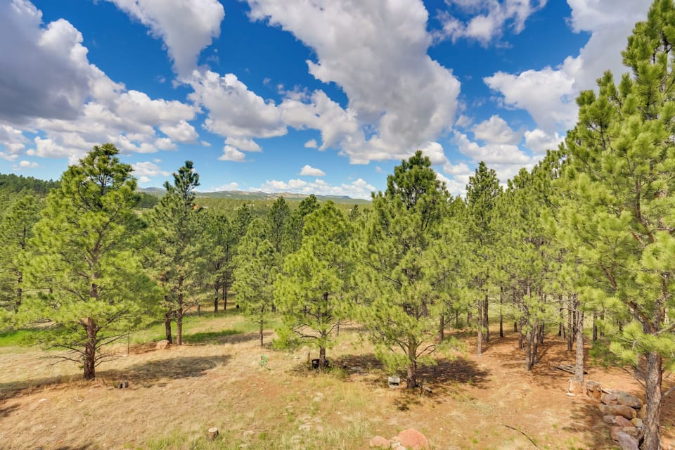 Property Views