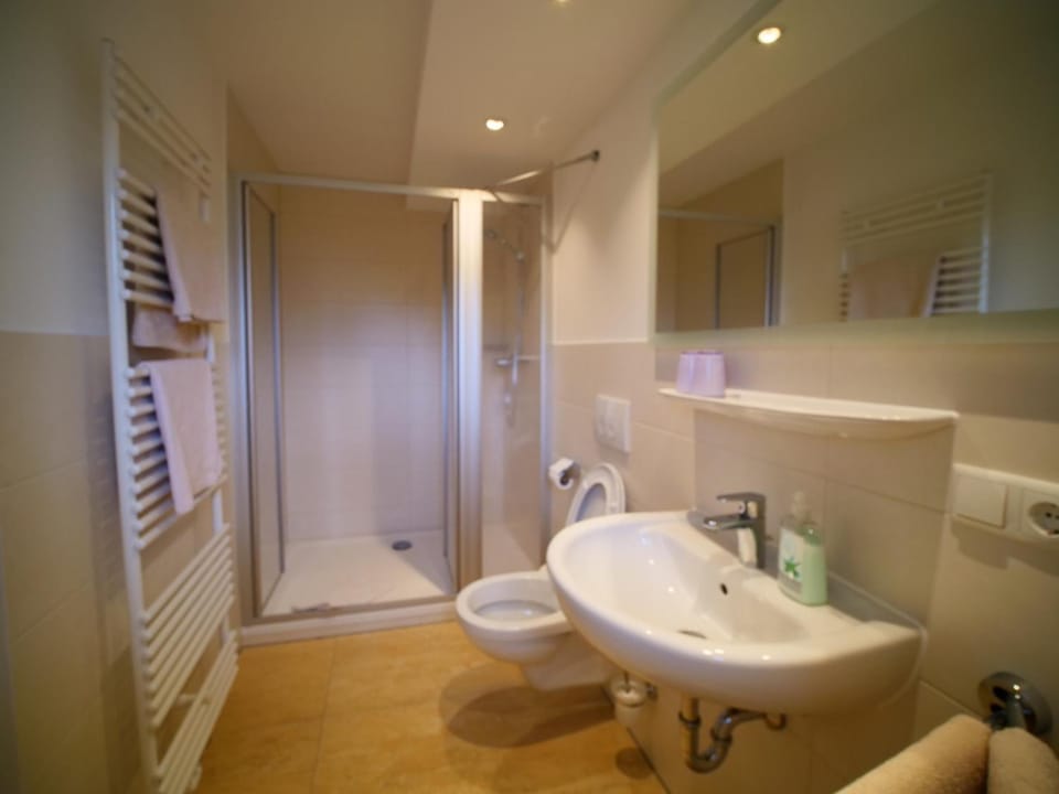 Shower, free toiletries, hair dryer, towels