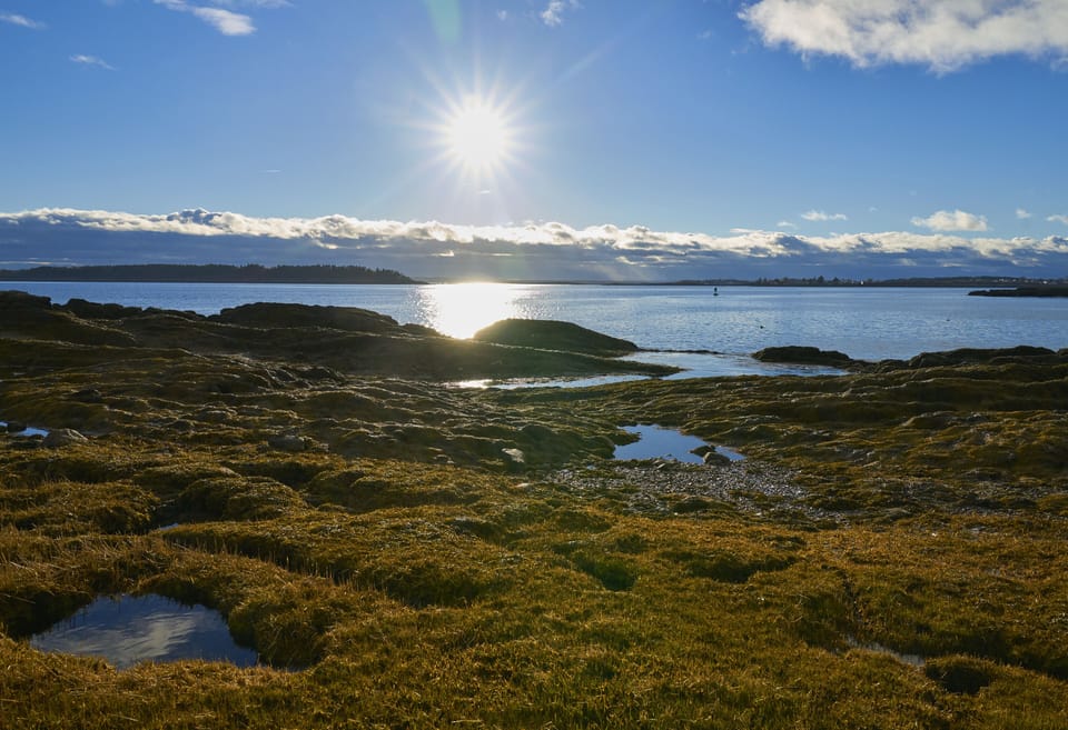 The "front yard" at low tide.
THE GILLS GROUP