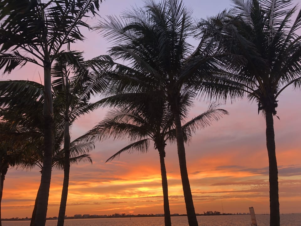 Sunset from downtown Sarasota 