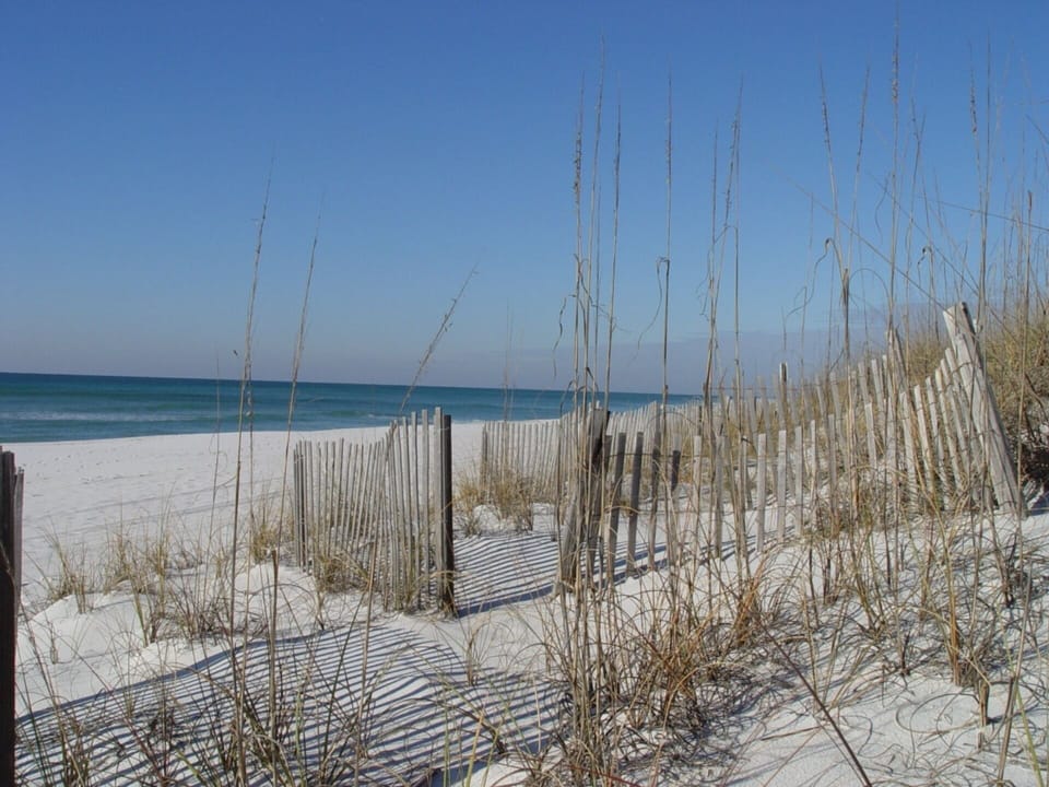 Bottom of dune crossover; beautiful beach awaits!