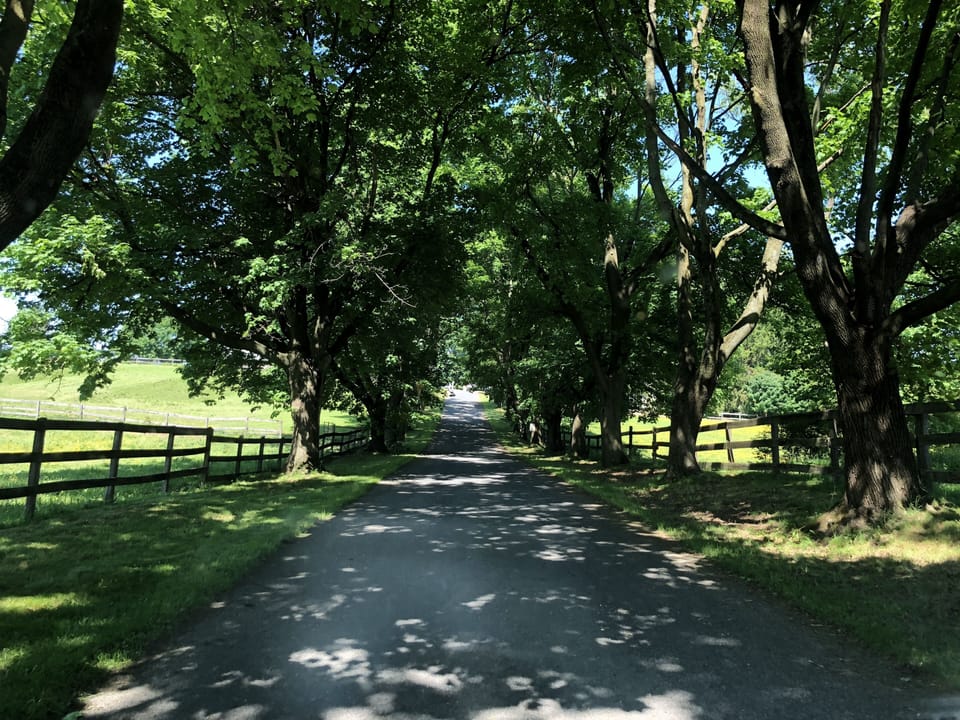 Private Lane to the Manor House 