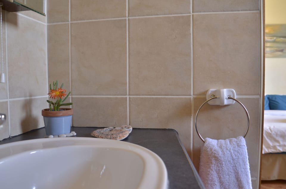 Premium Double or Twin Room | Bathroom | Hair dryer