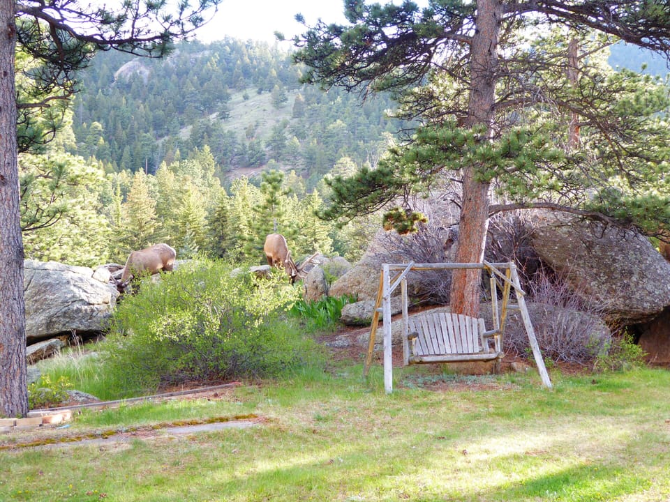Summer on the property with frequent elk visitors