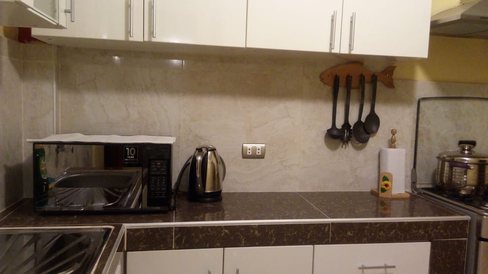 Full-size fridge, microwave, oven, stovetop
