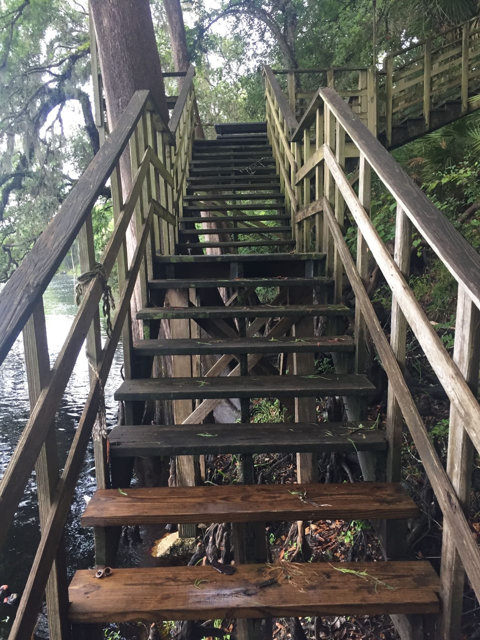 Steps leading up from the Suwannee River to the dock