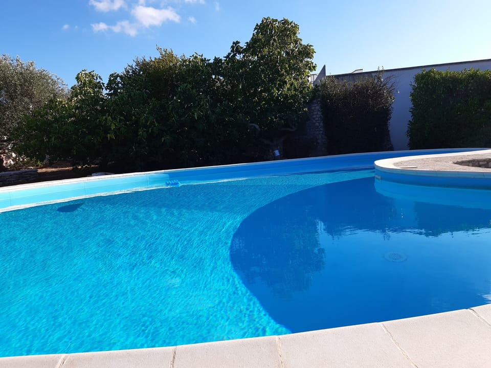 The glorious kidney-shaped swimming pool.
