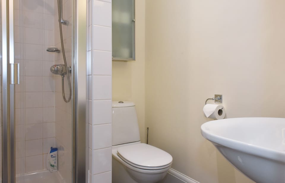 Bathroom View