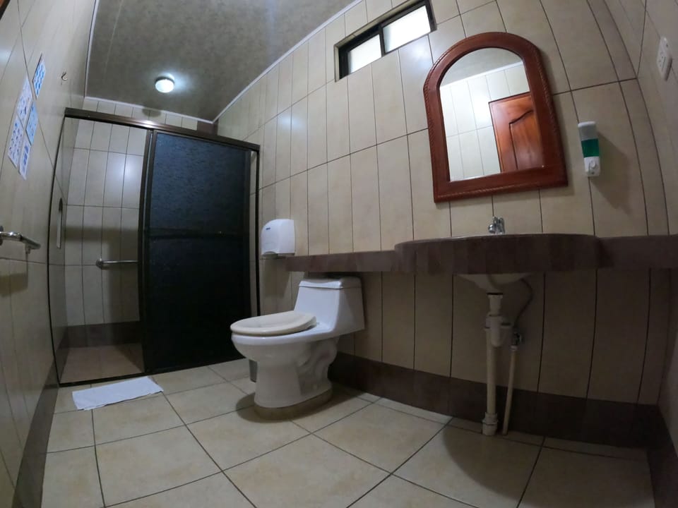 Standard Double Room | Bathroom | Shower, free toiletries, towels