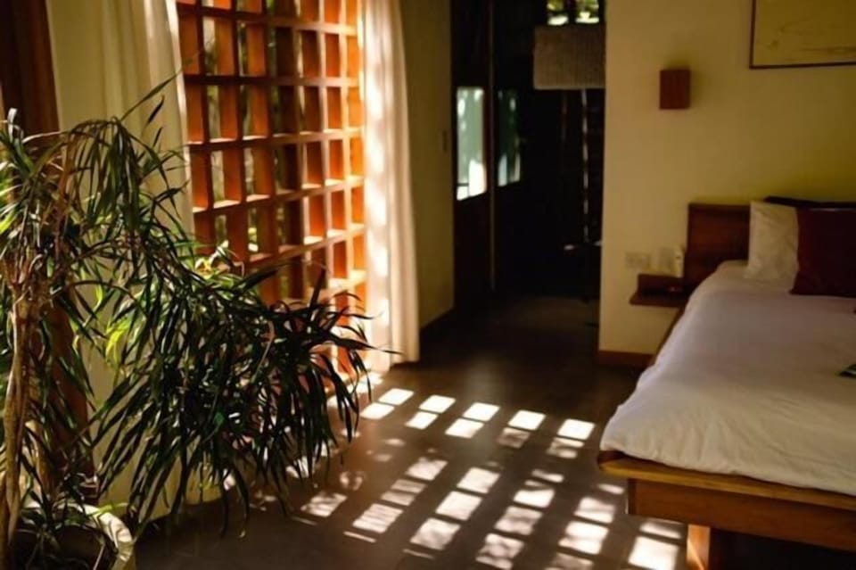 Free minibar items, in-room safe, desk, free WiFi