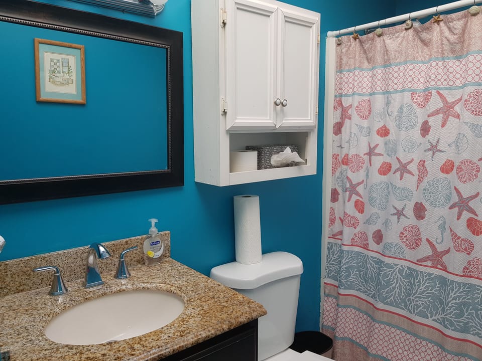 Bathtub, hair dryer, towels, toilet paper