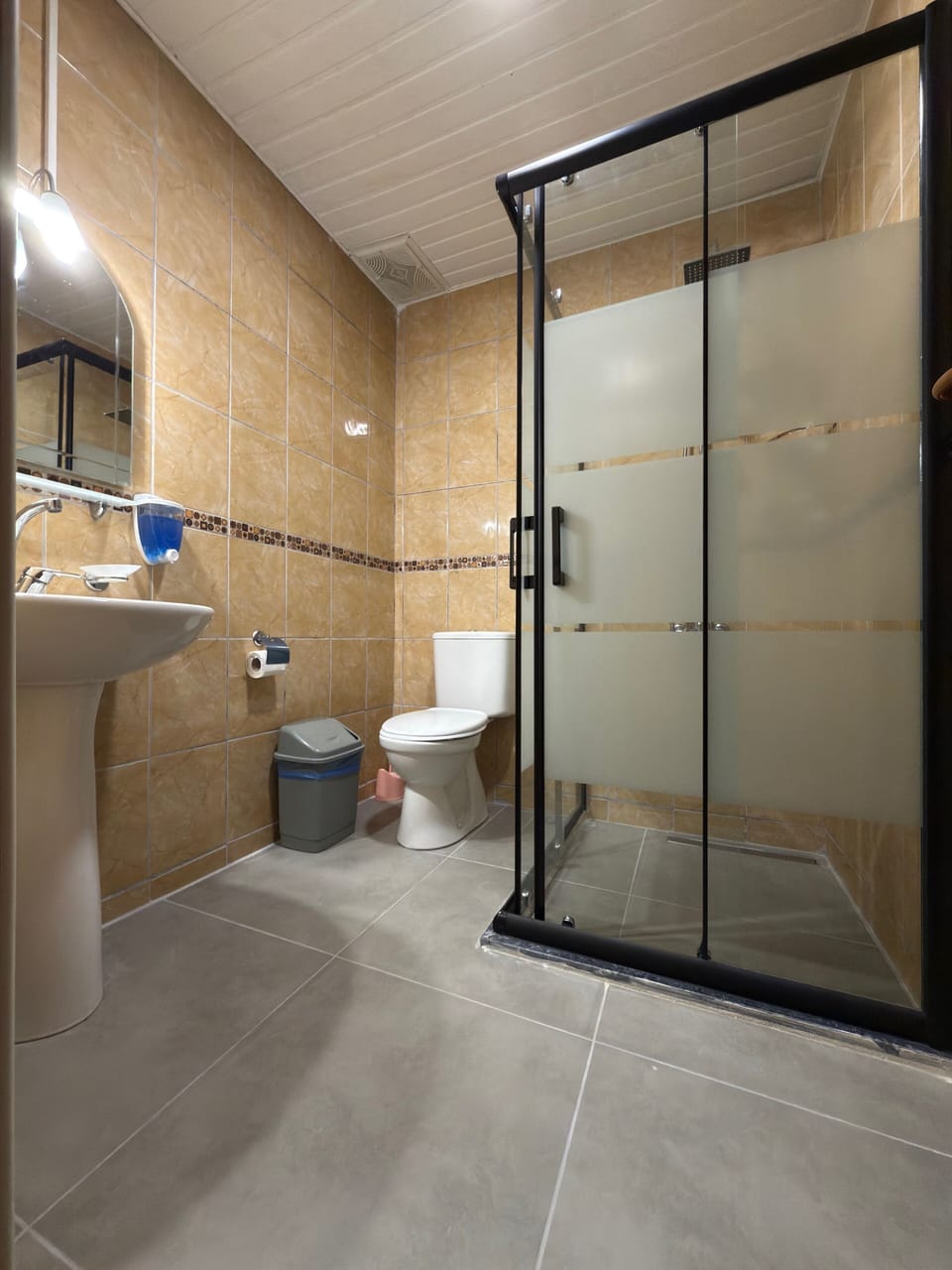 Standard Room | Bathroom | Shower, free toiletries, hair dryer, towels
