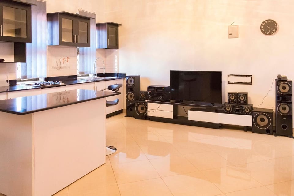 Flat-screen TV