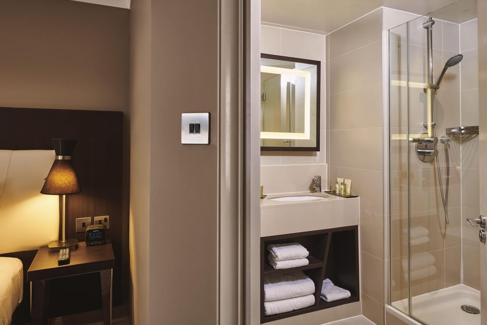 Deluxe Twin Room | Bathroom shower