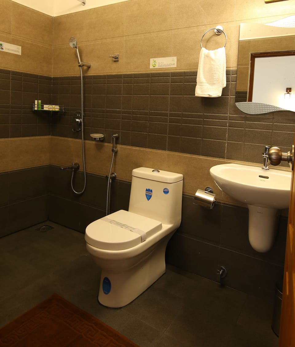 Premium Double or Twin Room, 1 King Bed, Valley View | Bathroom | Shower, free toiletries, hair dryer, slippers