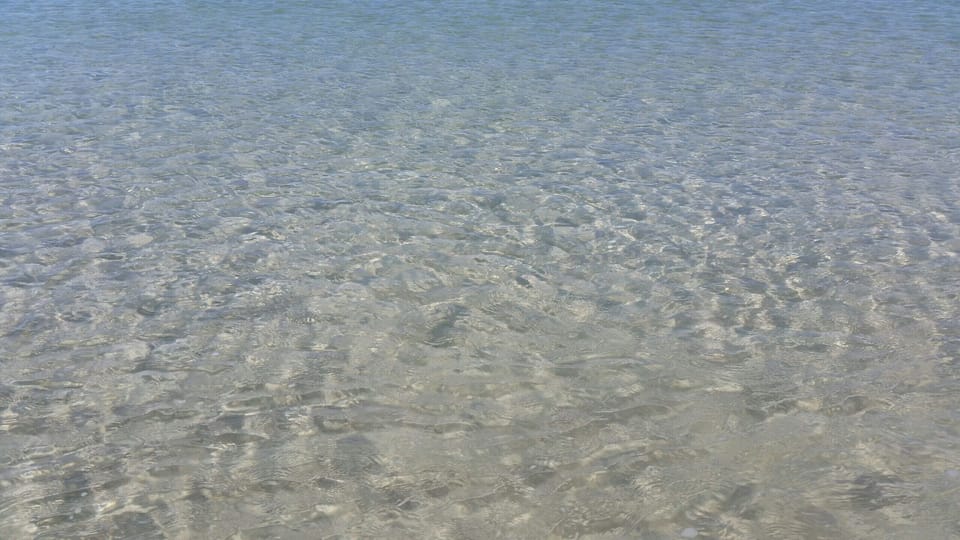 Take a swim in the Gulf