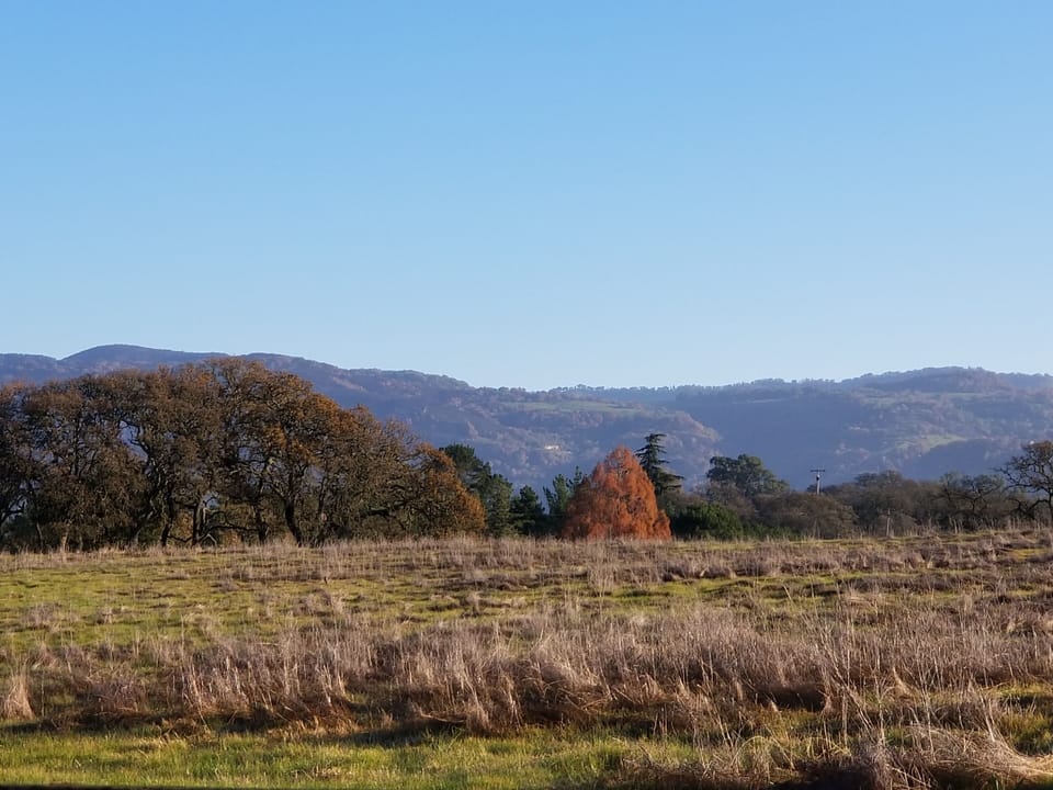 View from back of the house