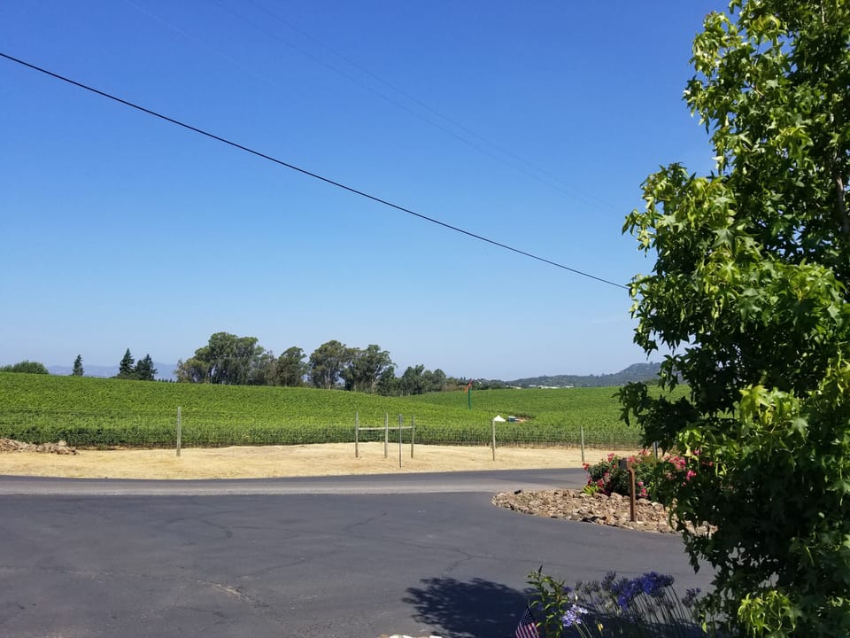 View from driveway
