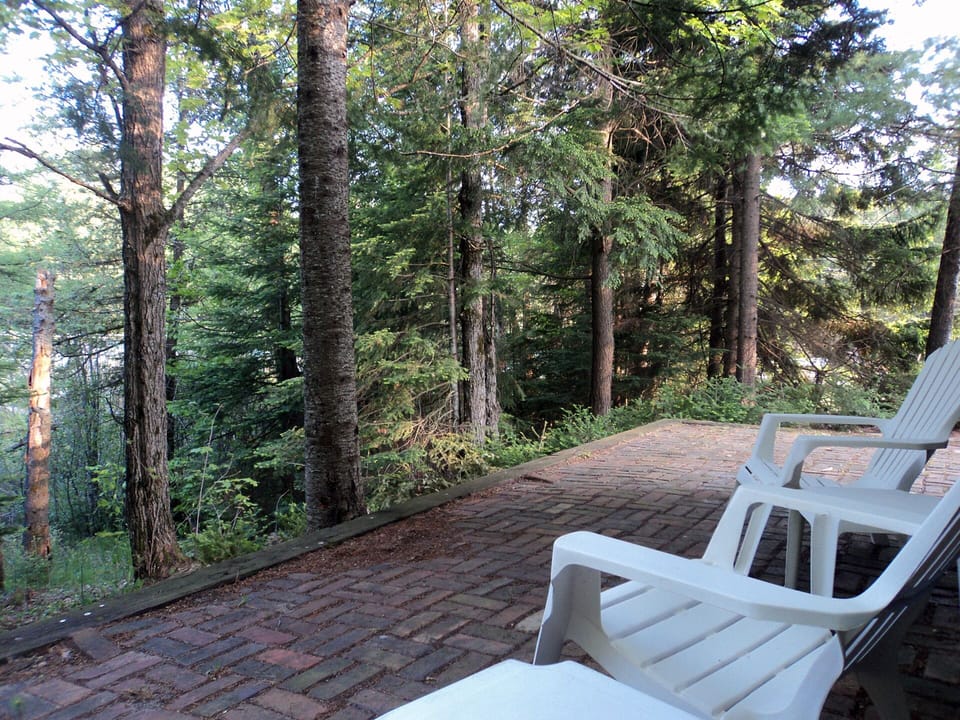 Back patio
