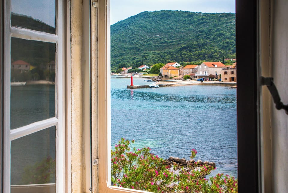 Window view