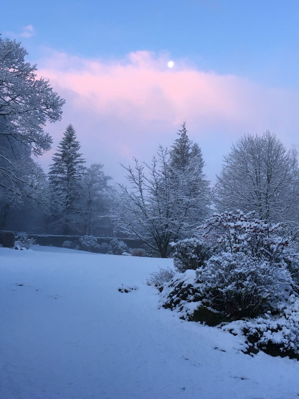 Snow and ski sports