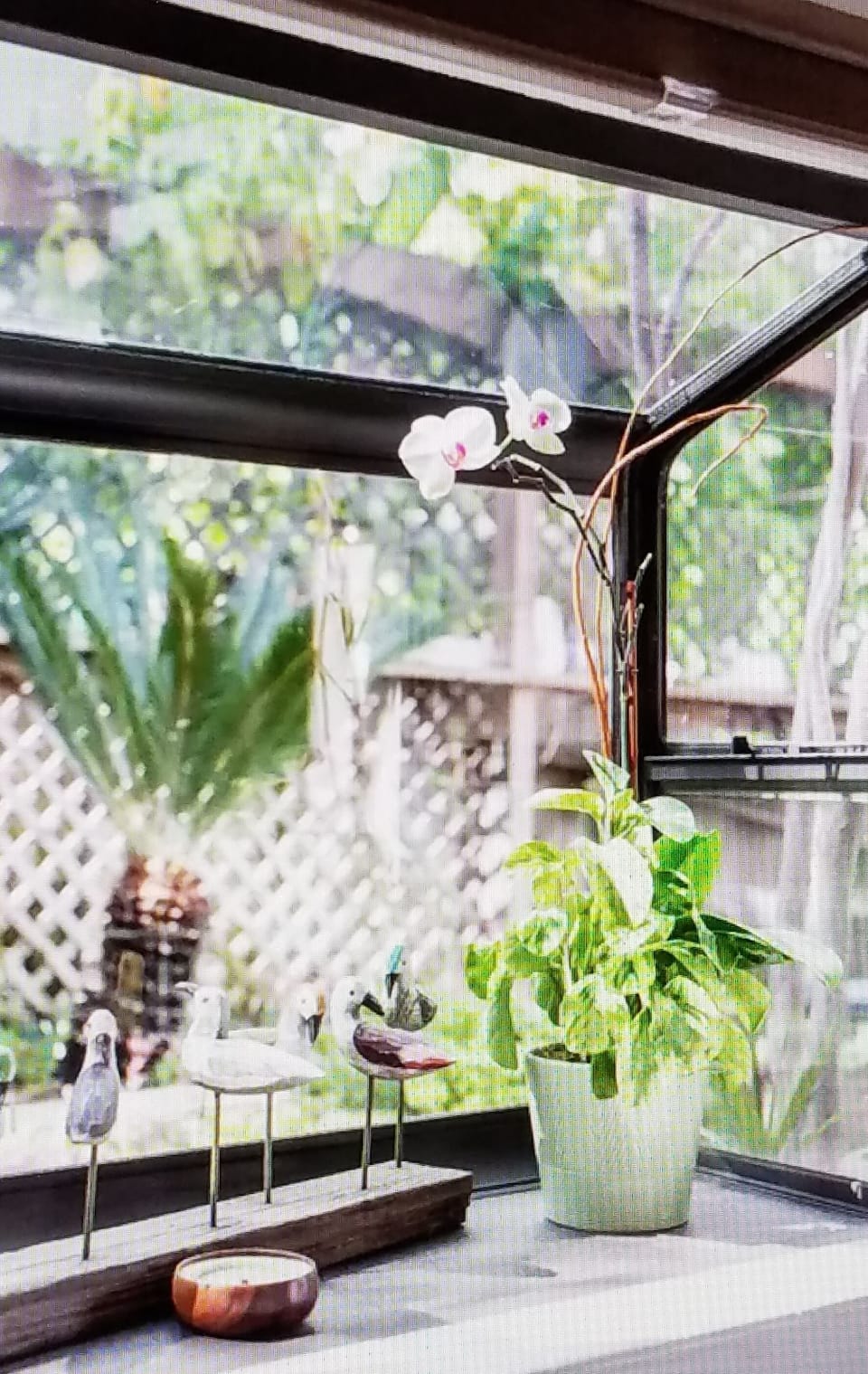 indoor, garden view