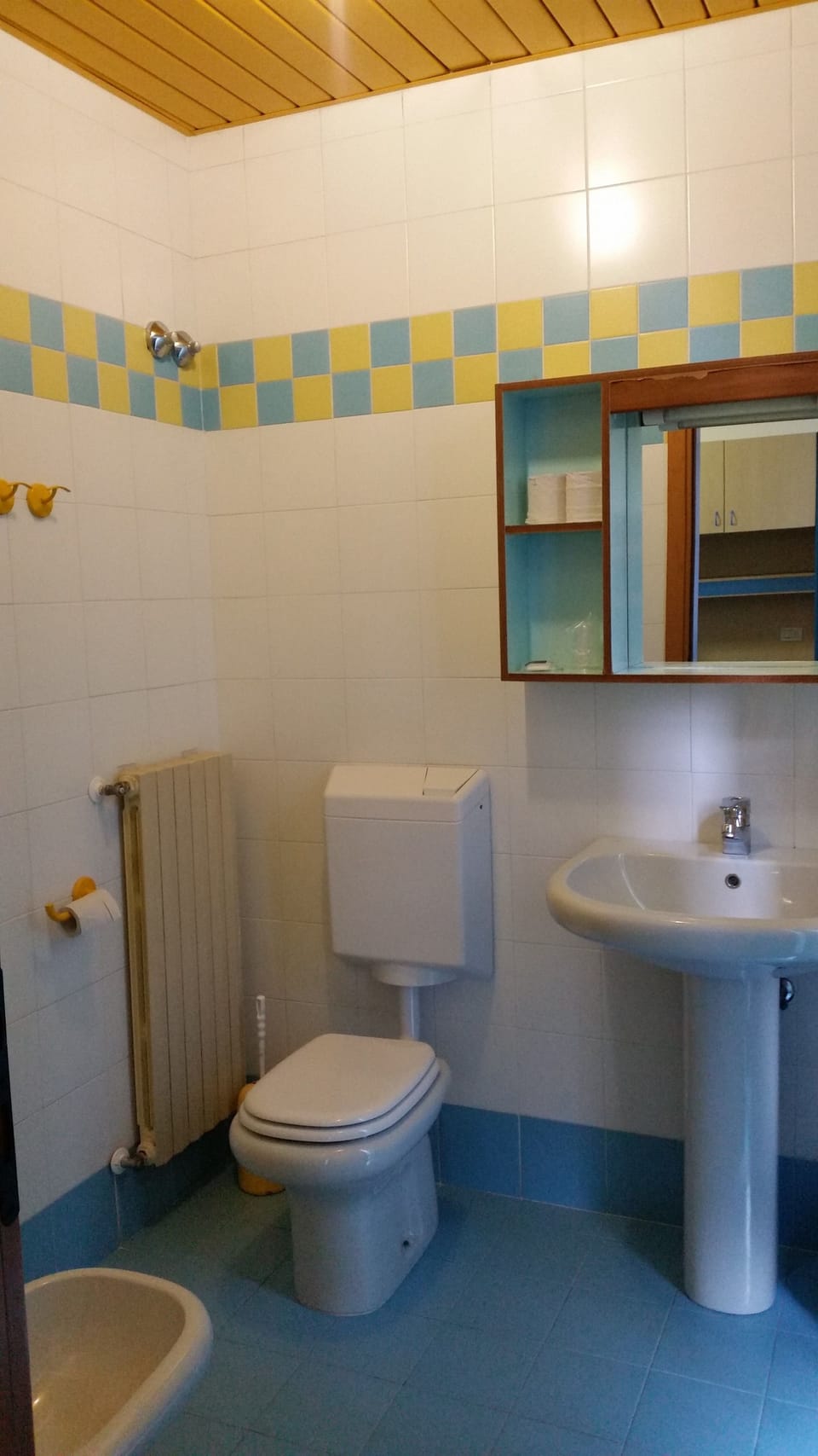 Shower, bidet, towels