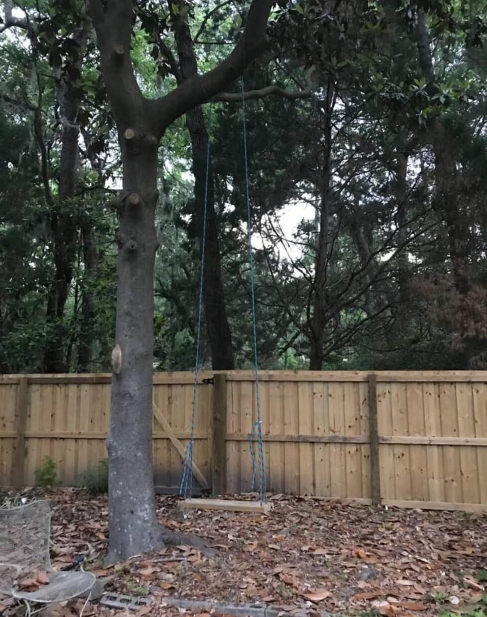 Adult swing