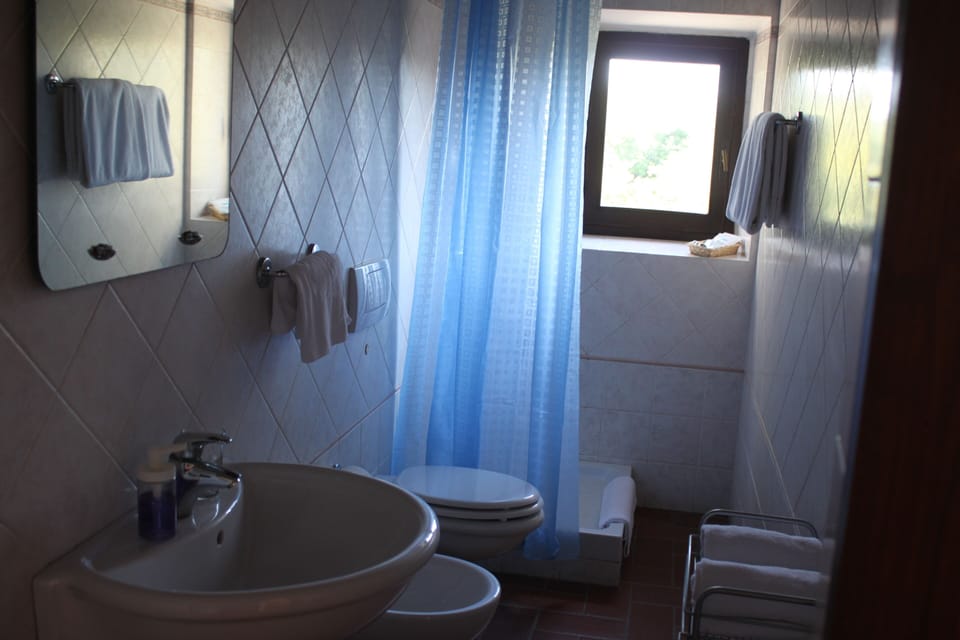 Double Room | Bathroom | Shower, free toiletries, hair dryer, bidet