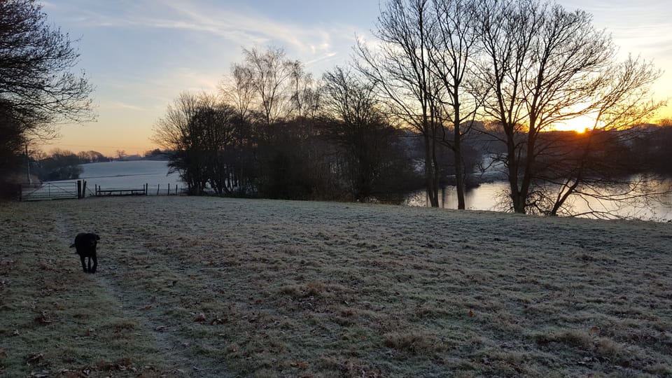 Walking past the reservoir one morning in winter