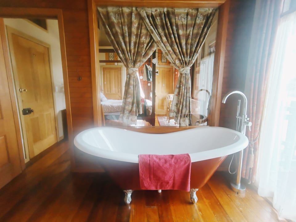 Free toiletries, hair dryer, bathrobes, towels