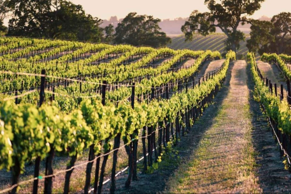 Winery