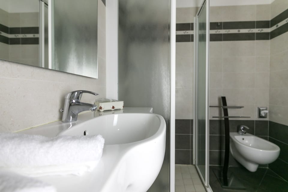Shower, free toiletries, hair dryer, bidet