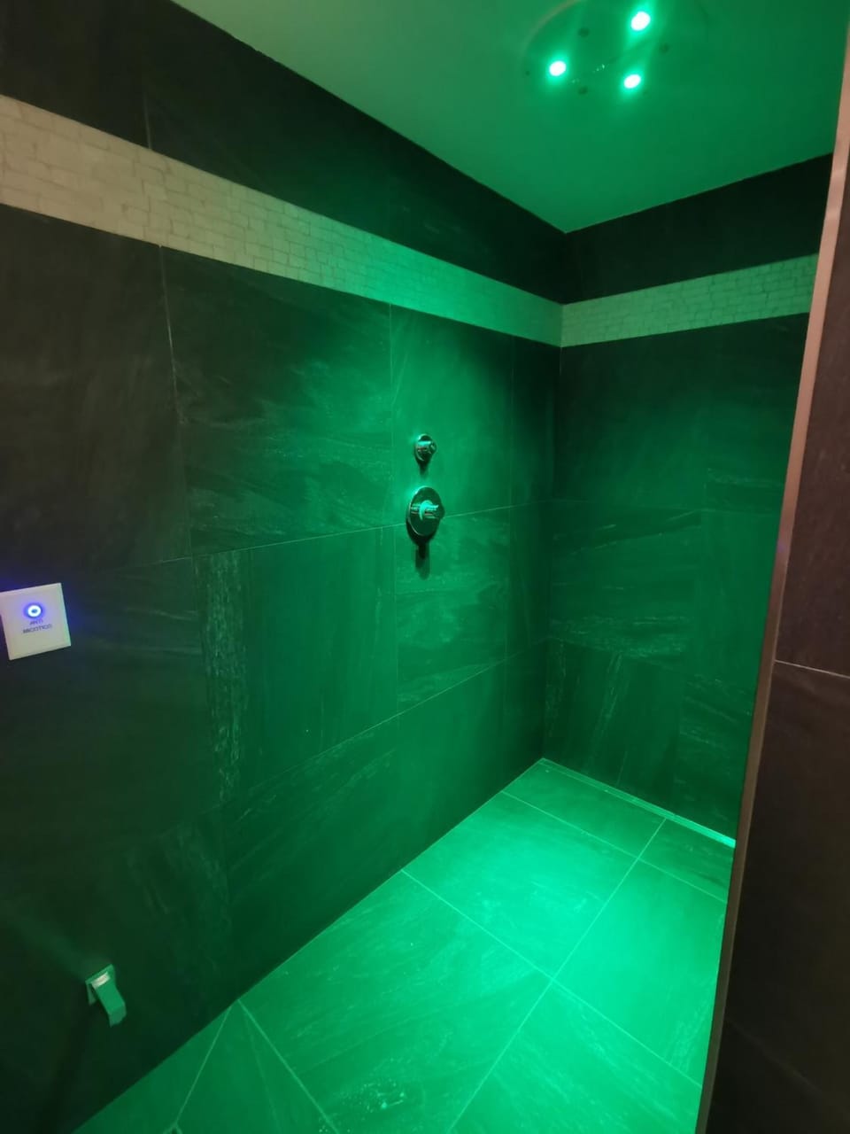 Rainfall showerhead, hair dryer, bidet, towels