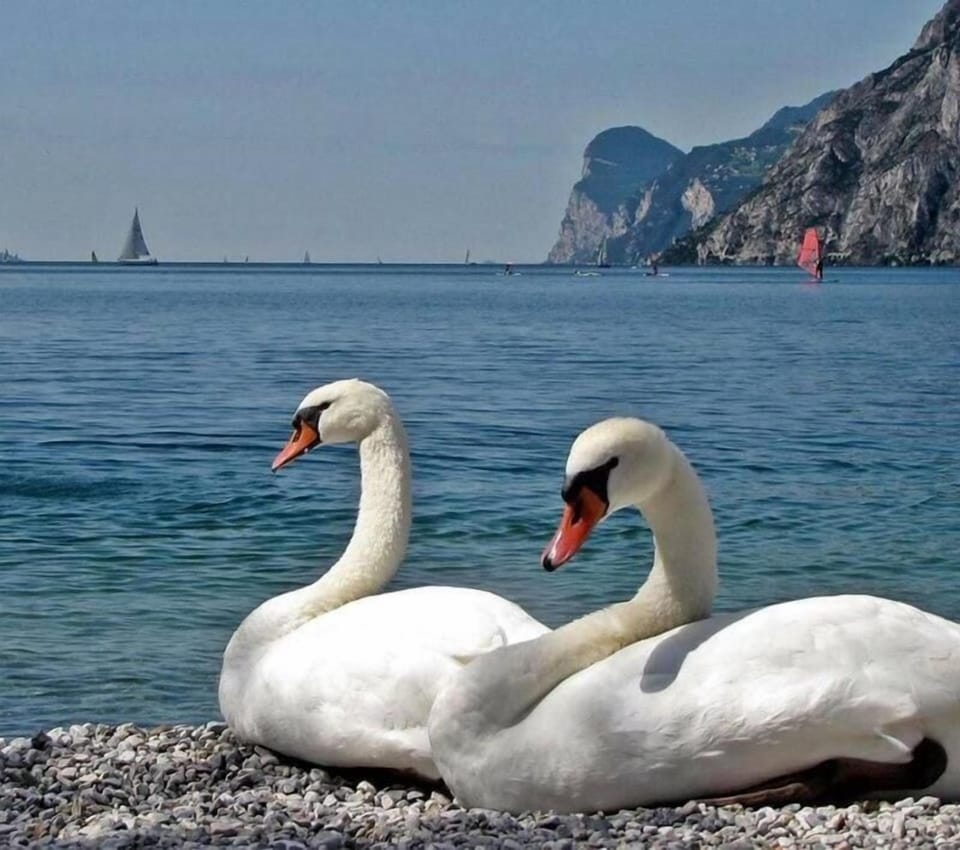 On the beach, sun loungers