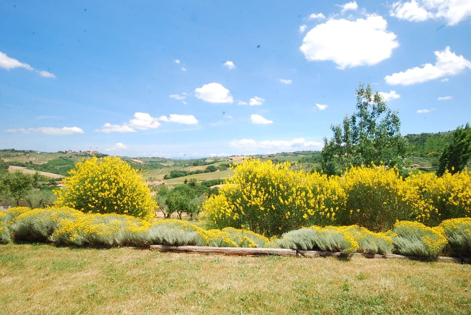 Room, 1 Double Bed, Private Bathroom, Hill View | View from room