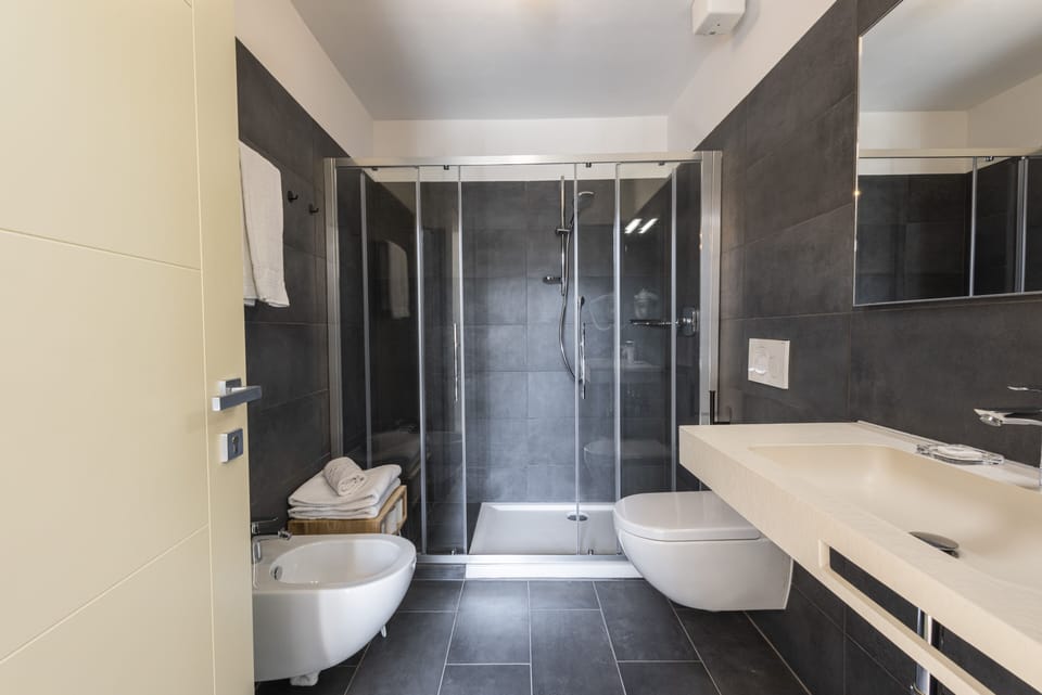 Shower, free toiletries, hair dryer (on request), bidet