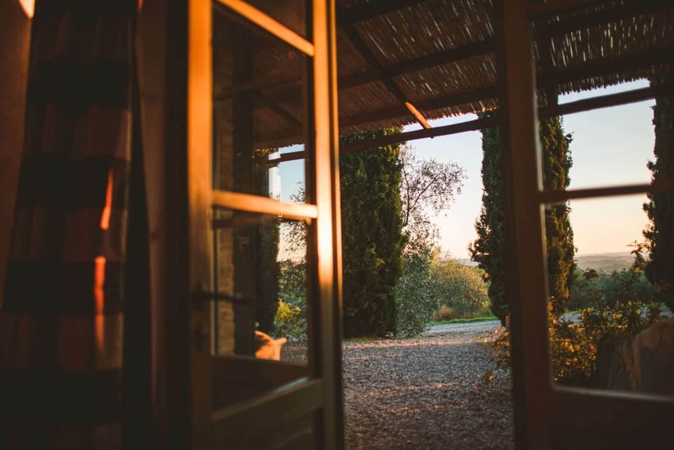 Deluxe Double Room, 1 Double Bed, Vineyard View, Garden Area | View from room