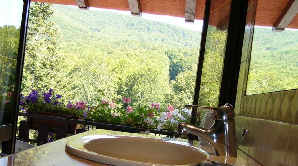 Double Room, Balcony, Mountain View (free relaxing area, Panoramic) | Bathroom | Shower, hair dryer, bidet, towels